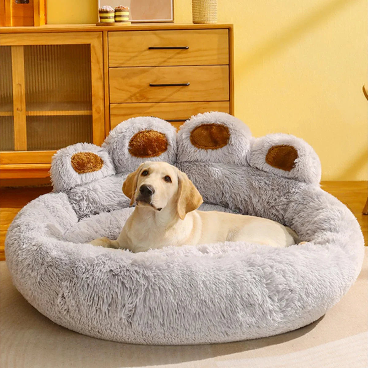 Pet Products